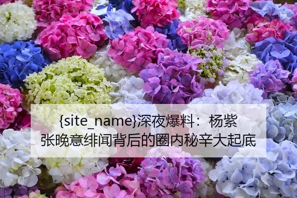 51吃瓜网深夜爆料：杨紫张晚意绯闻背后的圈内秘辛大起底