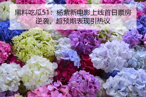 黑料吃瓜51：杨紫新电影上线首日票房逆袭，超预期表现引热议