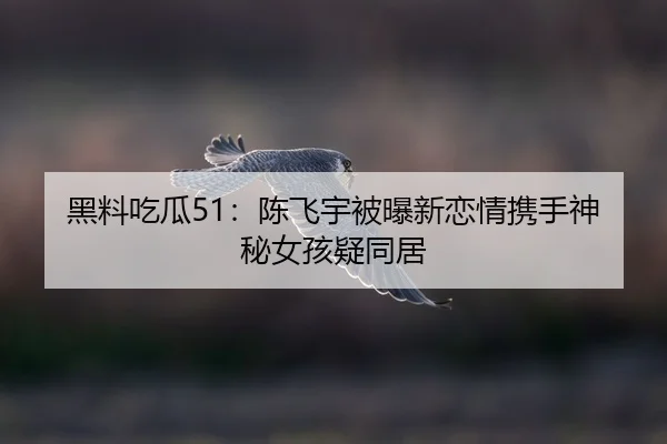 hei-liao-chi-gua-chen-fei-yu-bei-pu-xin-lian-qing-xie-shou-shen-mi-nv-hai-yi-tong-ju-2-625.jpg